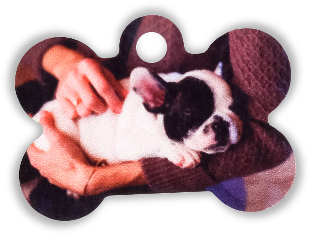 placa em forma de osso 1