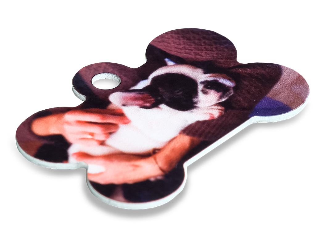 placa em forma de osso 2